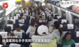 南京导游爆料事件视频完整版,揭秘背后真相与争议