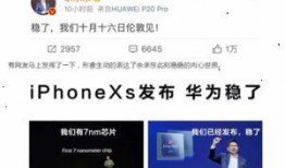 东莞王先生爆料新闻事件,揭秘新闻事件背后真相