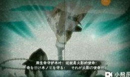 火影忍者水门最新爆料视频,水门最新爆料揭秘，神秘力量觉醒引众期待