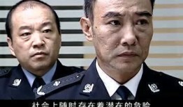 警中英雄在线观看,在线见证正义之光