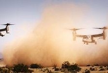 29棕榈镇在线观看,在线重温经典小镇的温馨时光