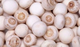 17c吃瓜黑蘑菇免费爆料,揭秘娱乐圈不为人知的秘密