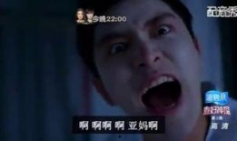 鬼胆神偷在线观看,在线观看，揭秘神秘盗宝传奇