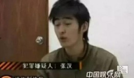 辉叔爆料张翰视频大全下载,张翰视频大全独家下载攻略