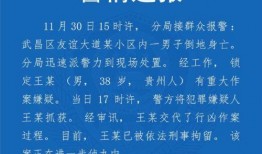 湖北网友爆料新闻,惊现神秘事件，真相令人震惊！