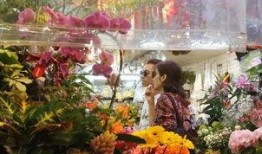 云南鲜花爆料事件真相视频,揭秘真相与背后故事