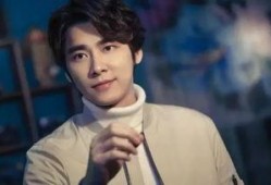 罗芳爆料李易峰视频,真相与争议并存