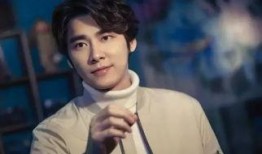 罗芳爆料李易峰视频,真相与争议并存