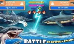 鲨鱼套最新爆料,最新爆料背后的惊人真相