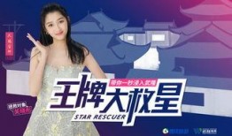 白鹿匿名爆料视频大全集,揭秘娱乐圈幕后真相