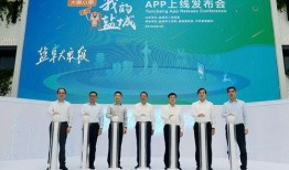 盐城新闻大爆料视频,揭秘本地热点事件背后的真相