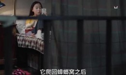 三姐被打爆料视频大全集,真相与反思